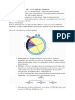 Cell Cycle and Cell Division