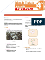 Ciclo Celular para Cuarto Grado de Secundaria