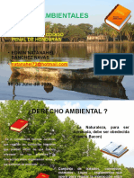 Nuevos Delitos Ambientales