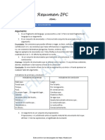 0 - Resumen IPC Final