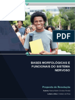 Bases Morfológicas E Funcionais Do Sistema Nervoso: Proposta de Resolução