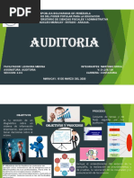 Auditoria Mapa Mental PDF