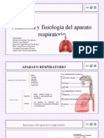 Aparato Respiratorio