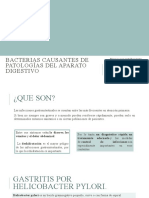 Bacterias Causantes de Patologías Del Aparato Digestivo!