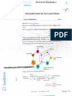 Nucleic Acid