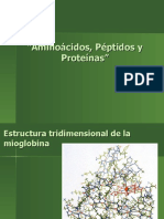 Aminoacidos y Proteinas