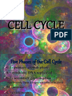 The Cell Cycle