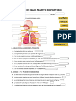 Actividad Sistema Respiratorio - Reforzamiento