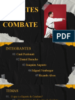 Esportes de Combate