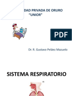 Sistema Respiratorio I