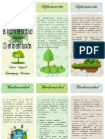 Triptico VMDP Ecología