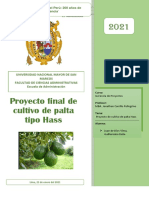 Proyecto Cultivo de Palta Hass