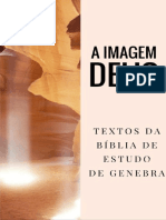 A Imagem de Deus - Textos Da Bíblia D... (Z-Library)