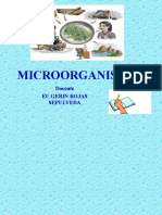 Microorganismos 1