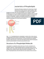 Phospholipids (1) - 221025 - 191955