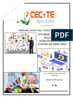 Proyecto Final. M2-S3. Auxilia en El Estudio de Mercados 2022