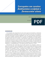 Carrapatos em Cavalos Amblyomma Sculptum e Dermacentor Nitens