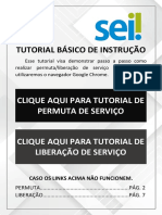 Manual Básico de Instrução - Sei