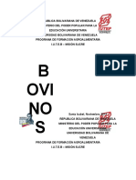 Bovinos