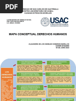 Mapa Conceptual DDHH Alejandra Camargo.