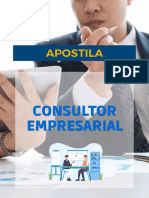 Consultor Empresarial Autor Portal Idea