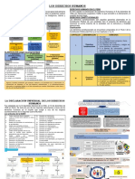 Los Derechos Humanos - Esquemas1