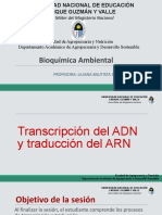 Transcripción y Traducción