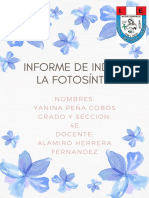 Informe de Indaga La Fotosíntesis-Fusionado