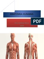 Anatomia Humana I