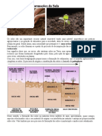 Tipos de Solo 2