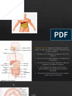 Principios Generales de La Motilidad Gastrointestinal