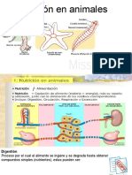 Digestion