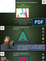 JUN - CAP01-SEGURIDAD (Brigada de Emergencia y Extintor)