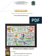 Aula 12 - Práticas Culturais Sustentáveis Na Fruticultura e Podas Frutiferas