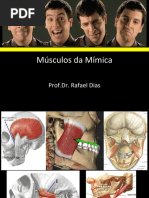 Musculos Da Mimica