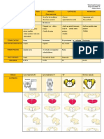 Tipos de Pelvis