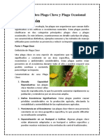 Informe Sobre Plaga Clave y Plaga Ocasional - Docx Magaly