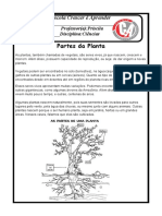 Atividades de Ciências 3º Ano 5 de Julho 2023