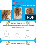 Molde Pet em Feltro Golden Retriever