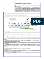 Conociendo Sobre Los Virus y Bacterias