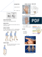 Membros Superiores-Exame Físico Do Sistema Musculoesquelético