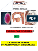 Troisième Semaine Du Développement Embryonnaire Gastrulation