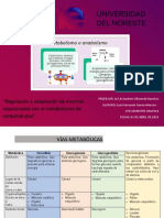 Cuadro Comparativo de Enzimas