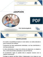 Procedimiento de Adopcion