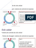 Aula 7 Ciclo Celular Apoptose