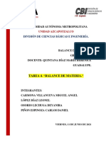 Correccion Tarea Iv. BM PDF