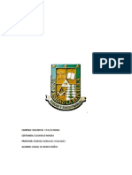 Certamen Seguridad Minera, Daniel Severino M