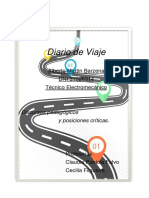 Diario de Viaje, Por Martin Barzena