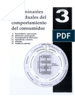 Comportamiento Del Consumidor - Parte 3 - Andrea Naranjo