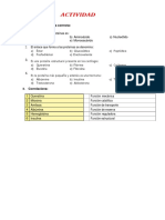 Actividad Proteinas